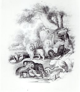「地球の歴史と生気に満ちた自然」の野生動物、オリバーゴールドスミス作、ロンドン、1840