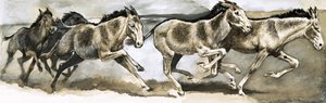 危険な野生生物：野生のお尻 作： English School