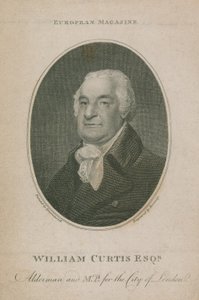 ウィリアム・カーティス、アルダーマン、ロンドン市議会議員。 1788年ロンドン市長 作： English School