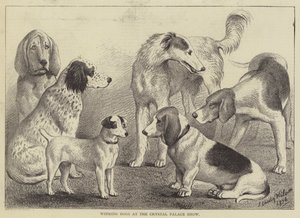 クリスタル・パレス・ショーでの勝利の犬（彫刻 作： English School