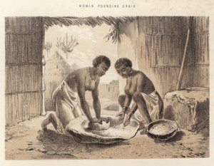 穀物を叩く女性 作： English School