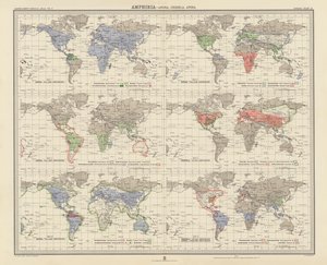 動物地理両生類、無尾目、ウロデラ目、アポダ目（カラーリトグラフ） 作： English School