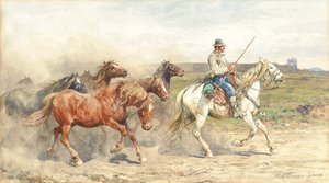 ローマのカンパーニャの駆け馬