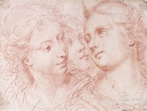 女性の頭の3つの研究