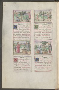  作： エーリッヒ・レッシング