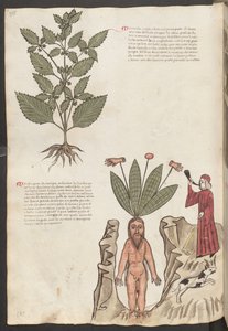  作： エーリッヒ・レッシング