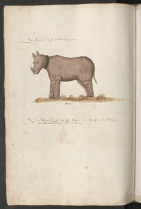  作： エーリッヒ・レッシング