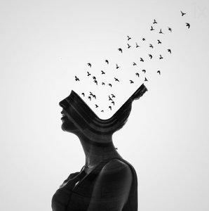 想像力が羽ばたく 作： Erkin Demir