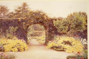7月 ゴールド、アビー・レイクス、アイルランド 作： Ernest Arthur Rowe