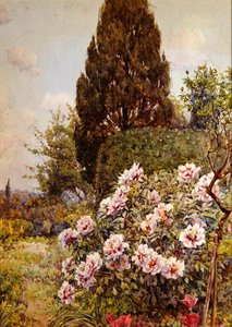 シャクヤク、コディントン、レッドベリー近郊（鉛筆・水彩・紙） 作： Ernest Arthur Rowe