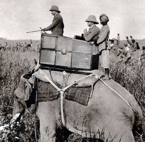 ジョージ5世 1911年 ネパールでの狩猟（1911年） 作： Ernest Brooks