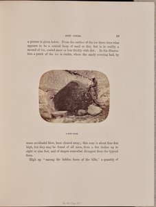 土のコーン 作： Ernest H. Edwards