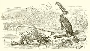 釣り人と小さな魚 作： Ernest Henry Griset