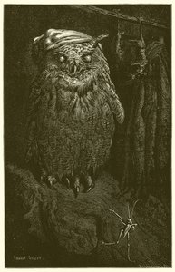 フクロウとバッタ