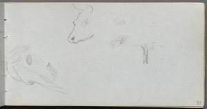 スケッチブック、53ページ：動物研究および樹木研究。 作： Jean Louis Ernest Meissonier