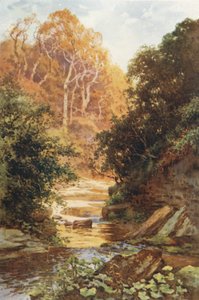 Hayburn Wyke (カラーリソ) 作： Ernest William Haslehust