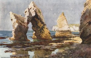 淡水湾で（カラーリソ） 作： Ernest William Haslehust