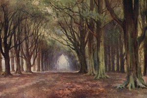 ビーチアベニュー、ソレスビー（カラーリソ） 作： Ernest William Haslehust