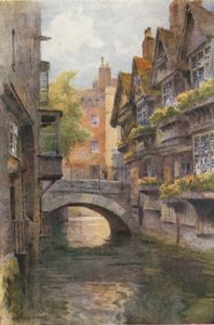 カンタベリーウィーバーズ（カラーリソ） 作： Ernest William Haslehust