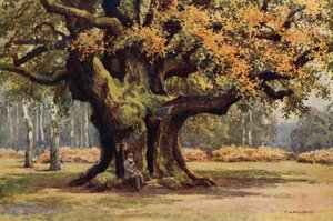 ザ・メジャー・オーク、ソーズビー・パーク（カラー・リソ） 作： Ernest William Haslehust