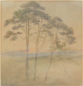 朝霧の松 作： Ernst Ferdinand Oehme
