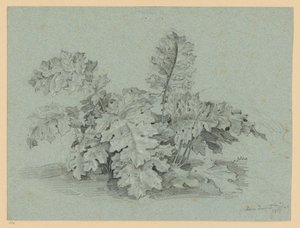  作： Ernst Fries