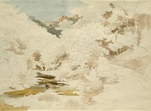 マッサ近くの森（紙に鉛筆とトイレ）