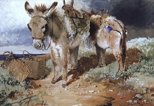 ロバ、1855