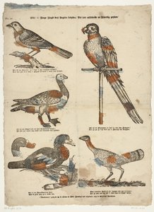欲しい/お！ これらの鳥を見ている若い若者 / 活発な後は非常に見栄えがする (オブジェクトのタイトル) 作： Erven de Weduwe Jacobus van Egmont