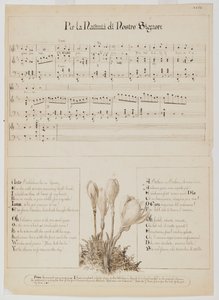 私たちの主の降誕の歌のシート、c.1868-1882 作： Esther Frances Alexander