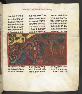 または。 607 f051r、「長良マリアム」より、聖母マリアの生涯の一場面 作： Ethiopian School