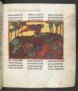 または。 607 f058r、「長良マリアム」より、聖母マリアの生涯の一場面 作： Ethiopian School