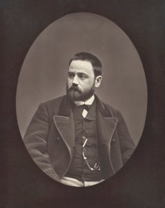 エミール・ゾラ フランスの小説家、劇作家、ジャーナリスト、1840～1902年頃。 1876年。 作： Etienne Carjat