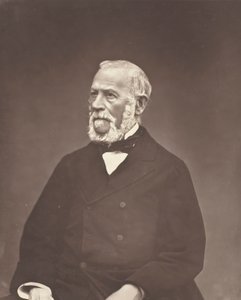 アンリ・マルティン、c。 1876年。 作： Etienne Carjat