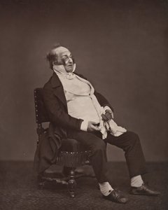 ヘンリー・モニエ、現代、文学、芸術ギャラリー、1876-81年から。 作： Etienne Carjat