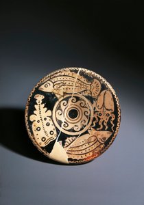 チェルベテリ産魚文赤絵陶器皿
