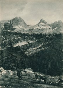 高山の牧草地、マドンナディカンピリオ、ドロミテ、イタリア、1927年のブレンタグループのビュー 作： Eugen Poppel