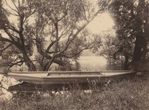 コローの池、ヴィル・ダヴレー、1900-1910年（写真 作： ウジェーヌ・アジェ