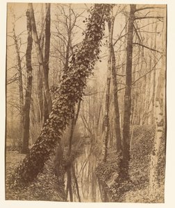  作： Eugène Atget