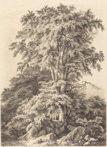 ブナの木立、1840 年。 作： Eugene Bléry