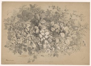 Bramen en andere planten イバラと様々な植物（オブジェクトのタイトル） Planten en bloemen (シリーズタイトル) Bléry が自然から描き、リトグラフした産業ガイド (シリーズ タイトル) 作： Eugene Bléry