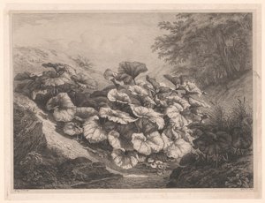 グルート・ホーフブラッド グレートコルツフット Vier Grote plant soorten（連載タイトル） 四大植物（連載タイトル） 作： Eugene Bléry