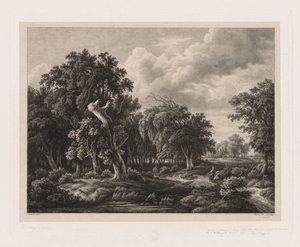 自然の後に描かれたさまざまな植物のグループ：No. 7、1855。 作： Eugene Bléry