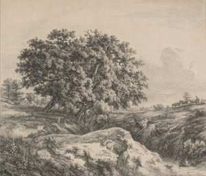 峡谷の樫の木、1845年。 作： Eugene Bléry