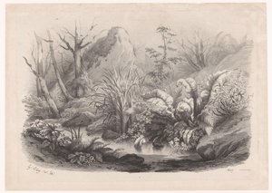 Oeverplanten bij een ビーク 多様なプランテン（連載タイトル） 自然に描かれ、リトグラフされたさまざまな植物の群れ（シリーズタイトル）
