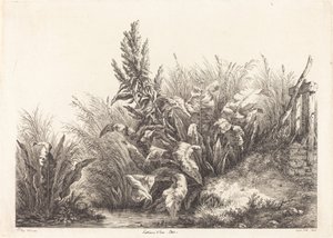 忍耐ドー、忍耐ドックの研究、1840年。 作： Eugene Bléry