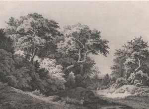 ランブイエ近くの森の端、1860年。 作： Eugene Bléry