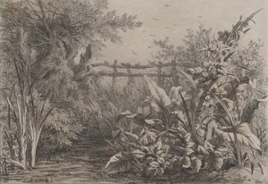 池、1857年。 作： Eugene Bléry