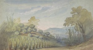 パリのオペラ座の舞台セットのデザイン、1830～90年。 作： Eugene Ciceri