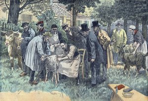 ルイ・パスツール（1822-1895）はフランスの生物学者で、プイィ・ル・フォールでメラン農業組合の依頼により、羊、牛、山羊の群れを対象に彼の炭疽ウイルスの実験に成功した。ダンブランスの図面。 作： Eugene Damblans
